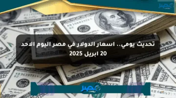 تحديث يومي.. أسعار الدولار في مصر اليوم الأحد 20 أبريل 2025